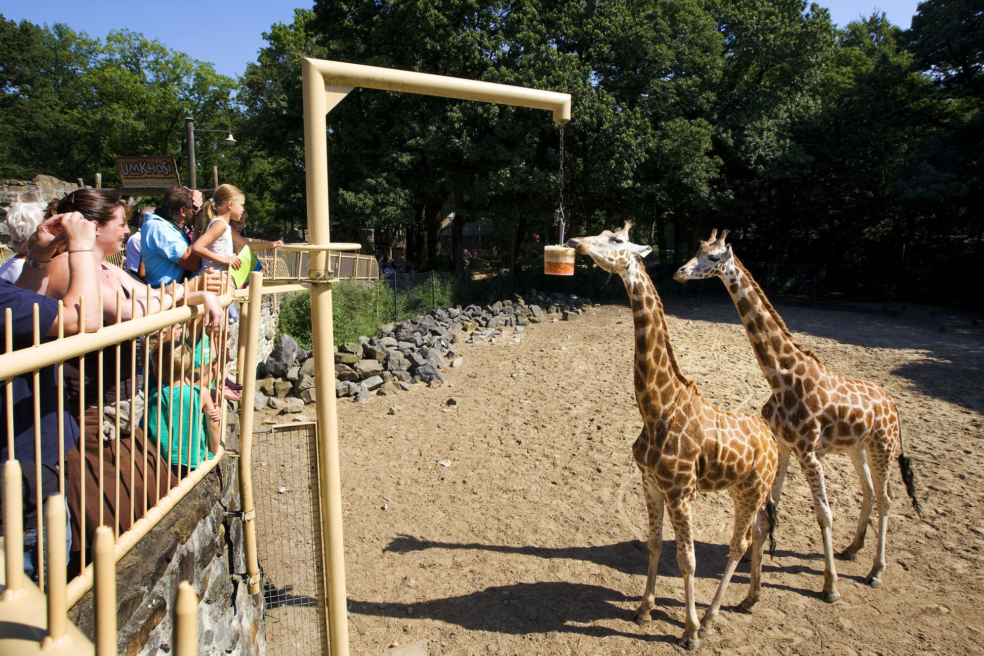 Ouwehands Dierenpark